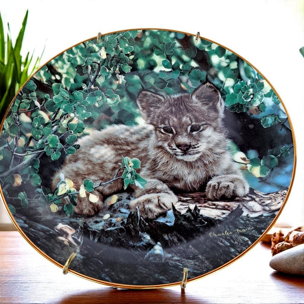 1989 Hamilton Collection "Hideaway" Small Wonders of the Wild Cat Plate #2666C